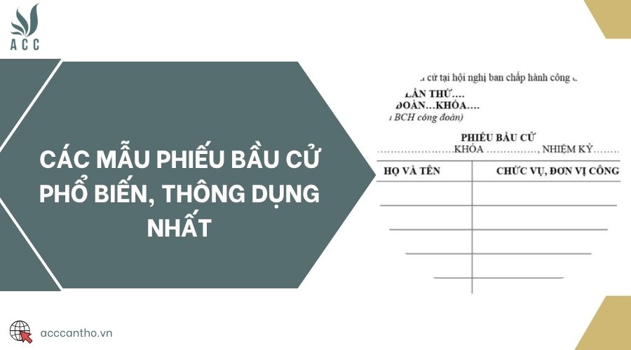 Các mẫu phiếu bầu cử phổ biến, thông dụng nhất