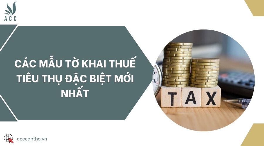 Các mẫu tờ khai thuế tiêu thụ đặc biệt mới nhất