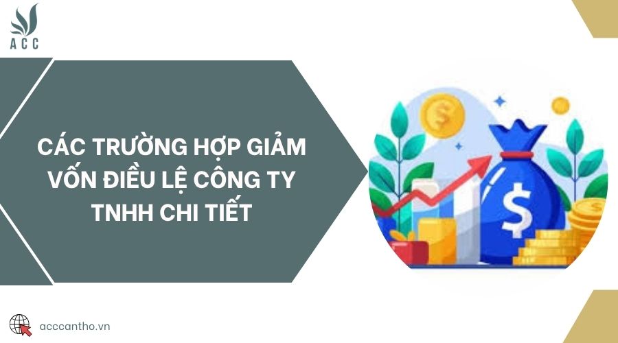 Các trường hợp giảm vốn điều lệ công ty TNHH chi tiết