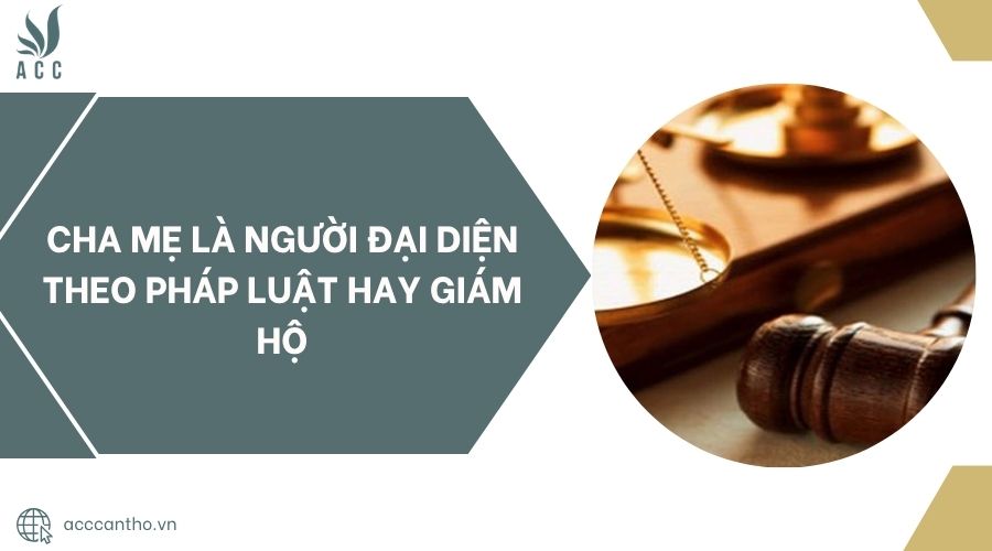 Cha mẹ là người đại diện theo pháp luật hay giám hộ