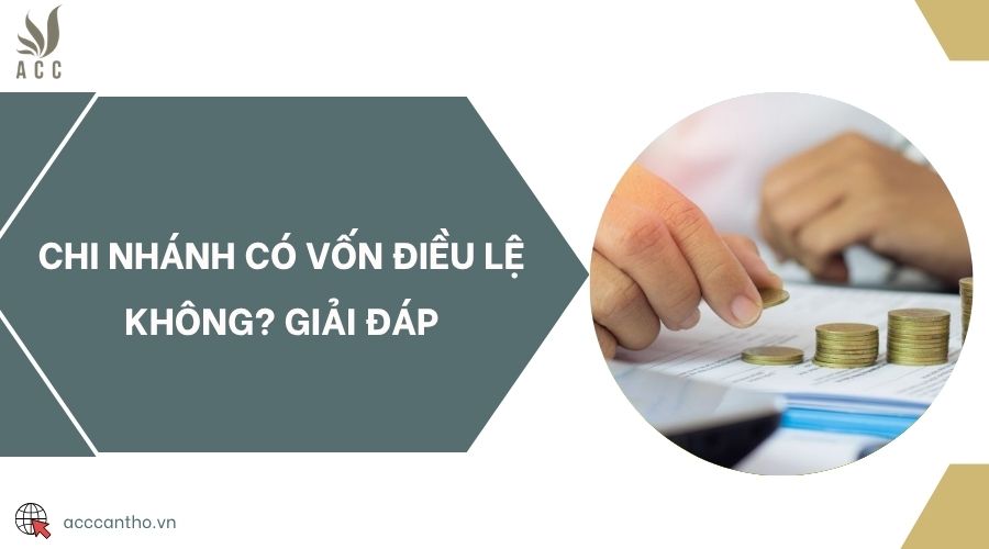 Chi nhánh có vốn điều lệ không? Giải đáp
