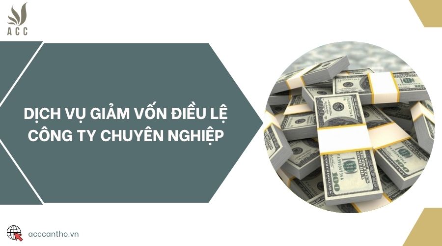 Dịch vụ giảm vốn điều lệ công ty chuyên nghiệp