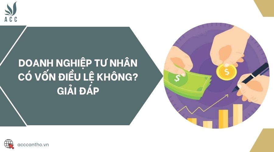 Doanh nghiệp tư nhân có vốn điều lệ không? Giải đáp