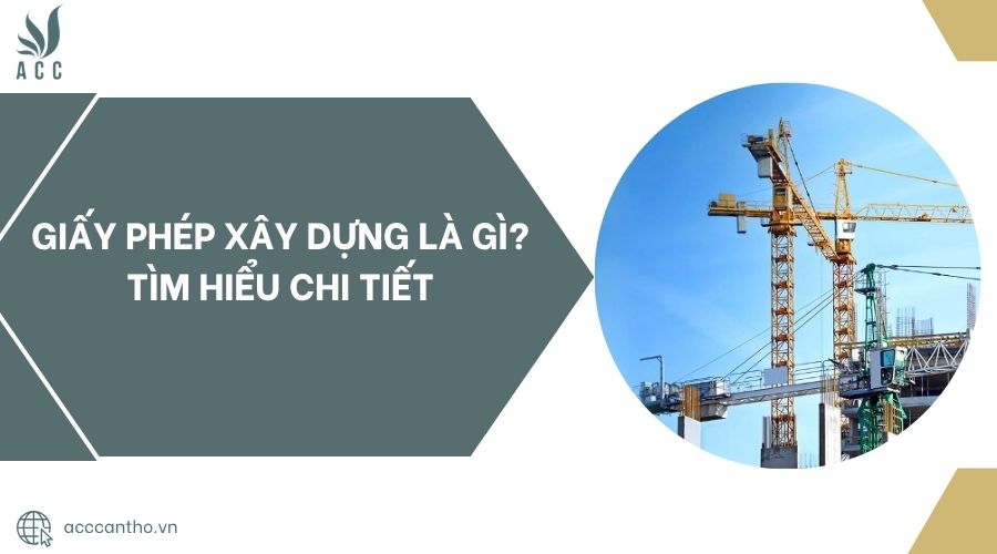 fv88 fv88 vn là gì? Tìm hiểu chi tiết