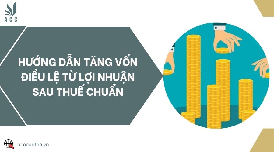 Hướng dẫn tăng vốn điều lệ từ lợi nhuận sau thuế chuẩn