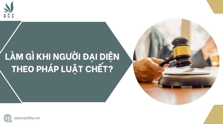 Làm gì khi người đại diện theo pháp luật chết?