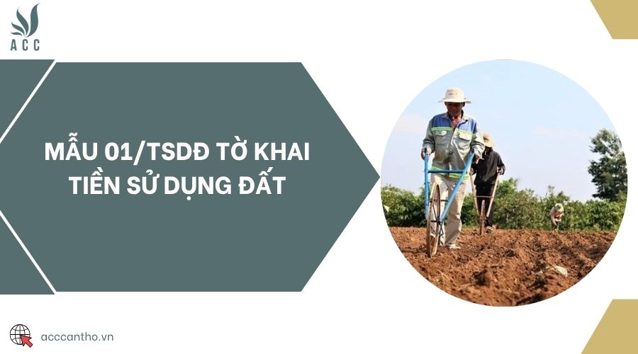 Mẫu 01/TSDĐ Tờ khai tiền sử dụng đất
