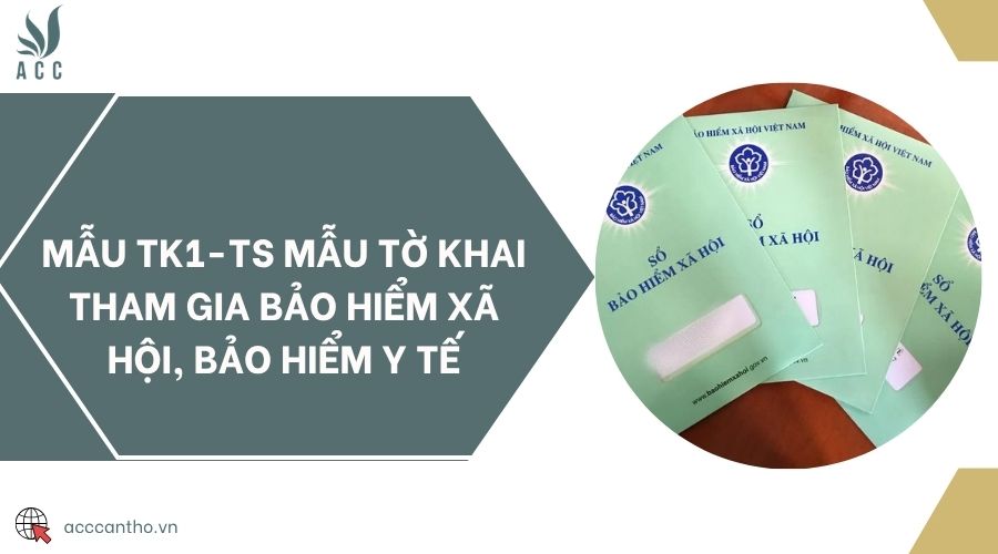 Mẫu TK1-TS Mẫu tờ khai tham gia bảo hiểm xã hội, bảo hiểm y tế