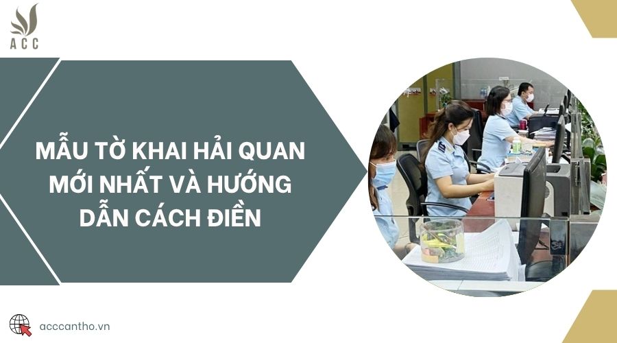 Mẫu Tờ khai hải quan mới nhất và hướng dẫn cách điền