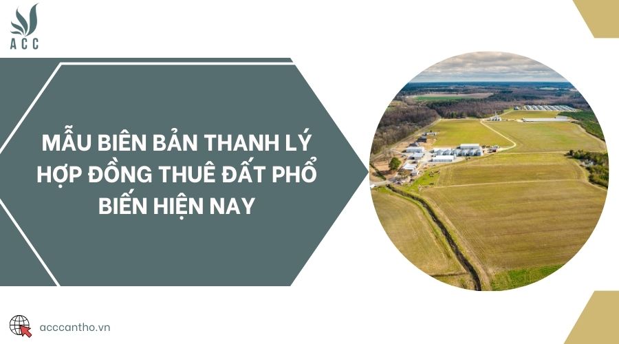 Mẫu biên bản thanh lý hợp đồng thuê đất phổ biến hiện nay