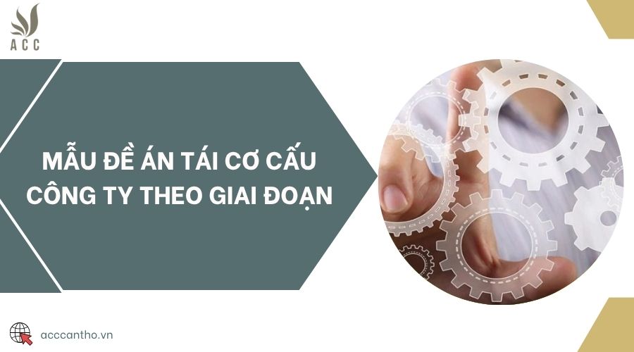 Mẫu đề án tái cơ cấu công ty theo giai đoạn