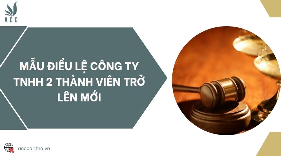 Mẫu điều lệ công ty TNHH 2 thành viên trở lên mới