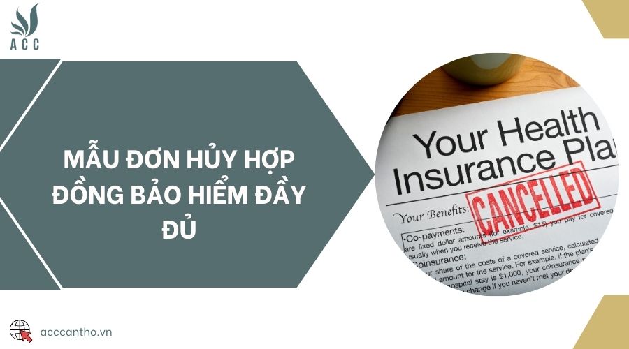 Mẫu đơn hủy hợp đồng bảo hiểm đầy đủ