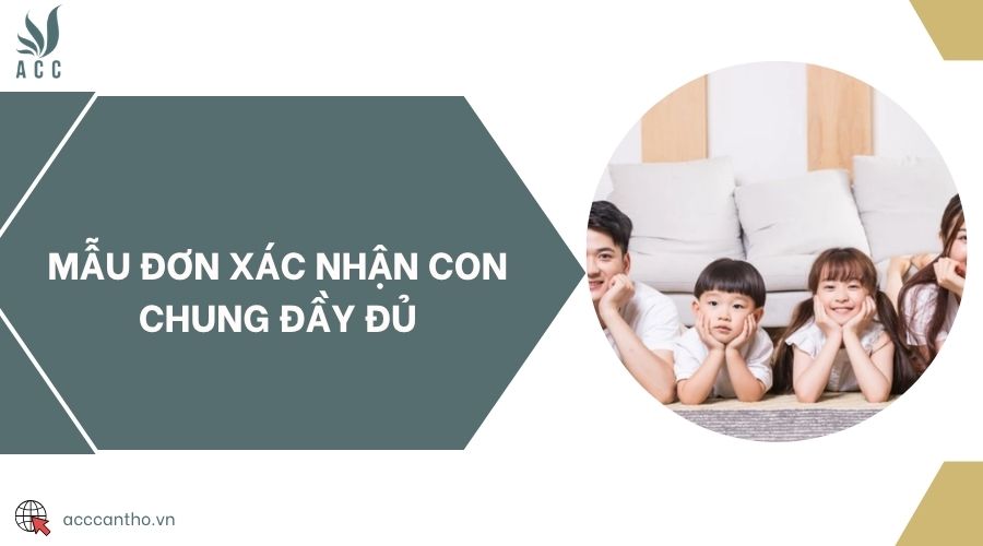 Mẫu đơn xác nhận con chung đầy đủ