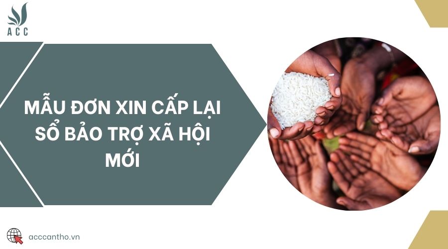 Mẫu đơn xin cấp lại sổ bảo trợ xã hội mới