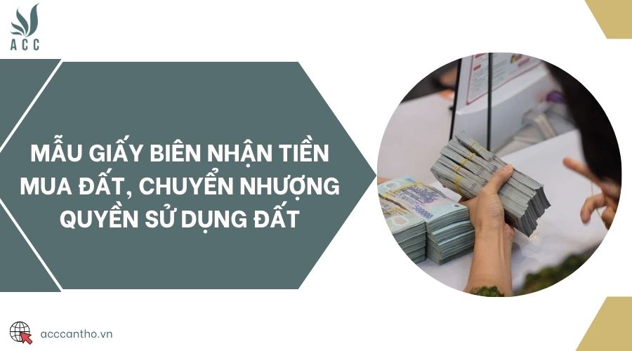 Mẫu giấy biên nhận tiền mua đất, chuyển nhượng quyền sử dụng đất