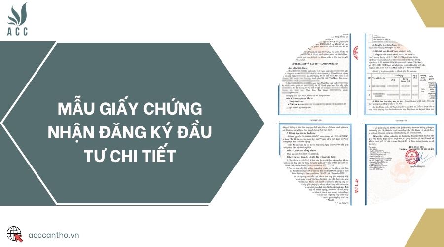 Mẫu giấy chứng nhận đăng ký đầu tư chi tiết