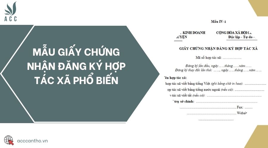 Mẫu giấy chứng nhận đăng ký hợp tác xã phổ biến