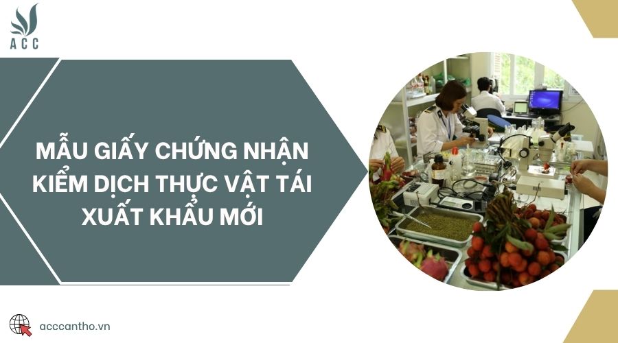 Mẫu giấy chứng nhận kiểm dịch thực vật tái xuất khẩu mới