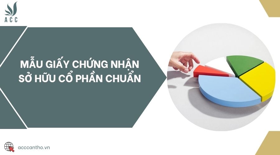 Mẫu giấy chứng nhận sở hữu cổ phần chuẩn