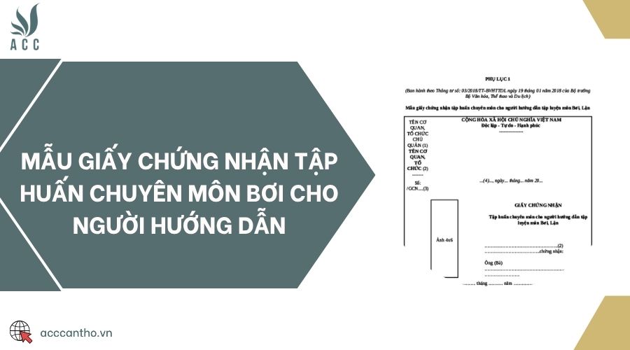 Mẫu giấy chứng nhận tập huấn chuyên môn bơi cho người hướng dẫn