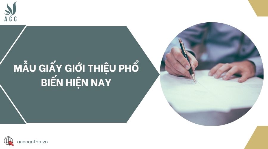 Mẫu giấy giới thiệu phổ biến hiện nay
