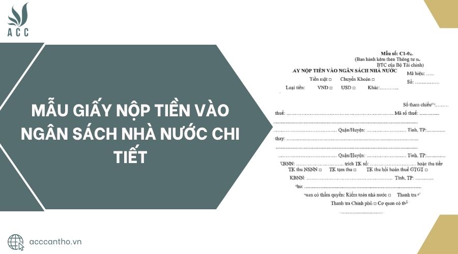 Mẫu giấy nộp tiền vào ngân sách nhà nước chi tiết