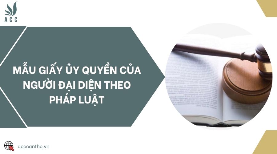 Mẫu giấy ủy quyền của người đại diện theo pháp luật