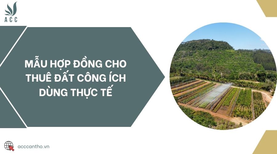Mẫu hợp đồng cho thuê đất công ích dùng thực tế