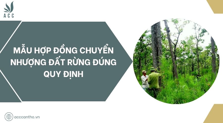 Mẫu hợp đồng chuyển nhượng đất rừng đúng quy định
