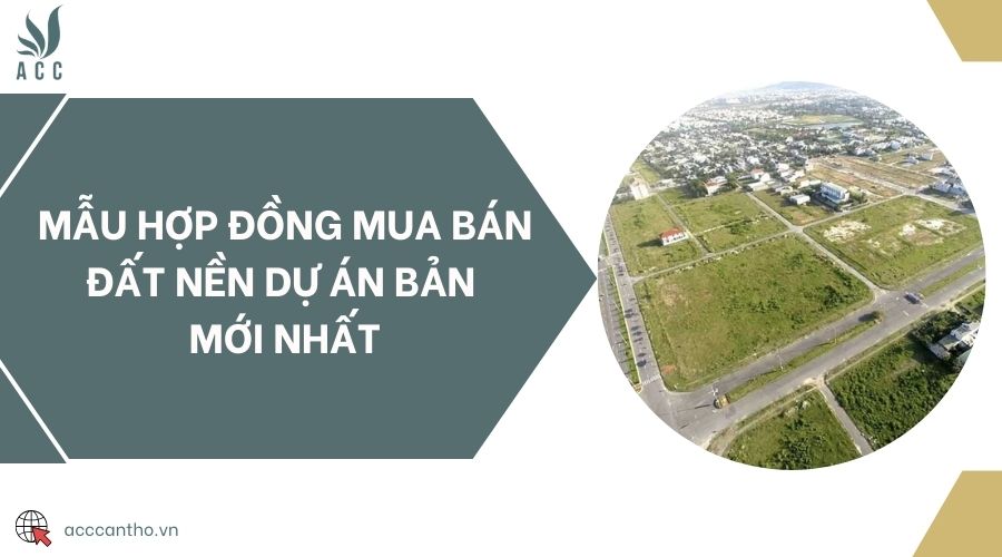 Mẫu hợp đồng mua bán đất nền dự án bản mới nhất