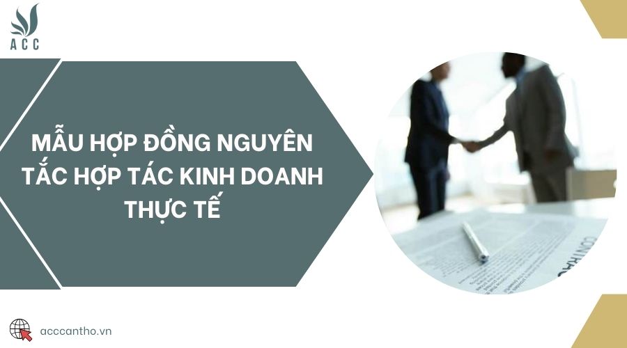 Mẫu hợp đồng nguyên tắc hợp tác fv888 thực tế