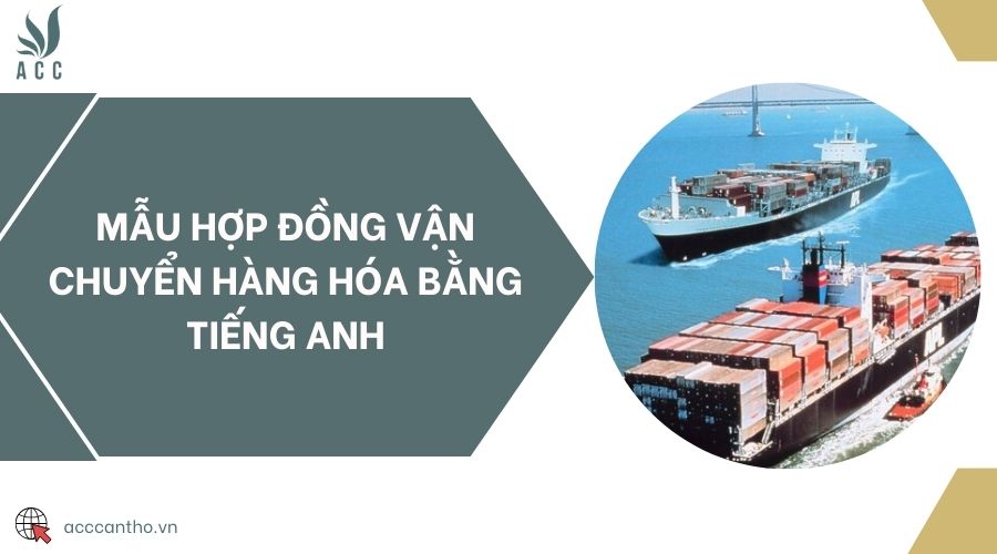 Mẫu hợp đồng vận chuyển hàng hóa bằng tiếng Anh