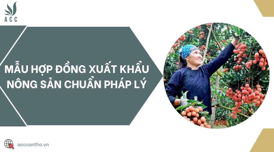 Mẫu hợp đồng xuất khẩu nông sản chuẩn fv88 nhà cái