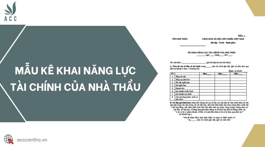 Mẫu kê khai năng lực tài chính của nhà thầu