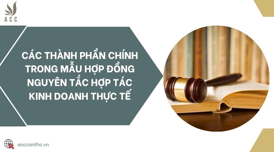 Các thành phần chính trong mẫu hợp đồng nguyên tắc hợp tác fv888 thực tế