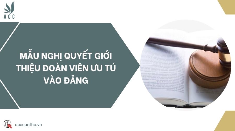 Mẫu nghị quyết giới thiệu Đoàn viên ưu tú vào Đảng