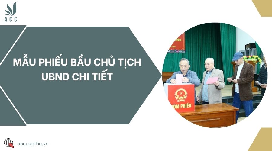 Mẫu phiếu bầu chủ tịch UBND chi tiết