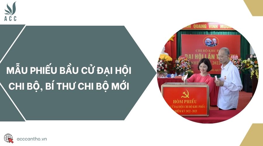 Mẫu phiếu bầu cử đại hội chi bộ, bí thư chi bộ mới