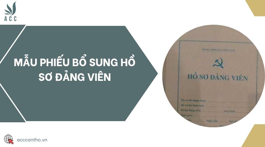 Mẫu phiếu bổ sung hồ sơ Đảng viên