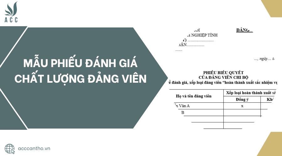 Mẫu phiếu đánh giá chất lượng Đảng viên