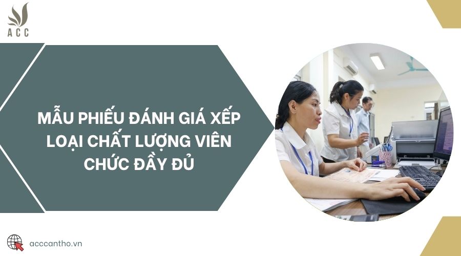 Mẫu phiếu đánh giá xếp loại chất lượng viên chức đầy đủ