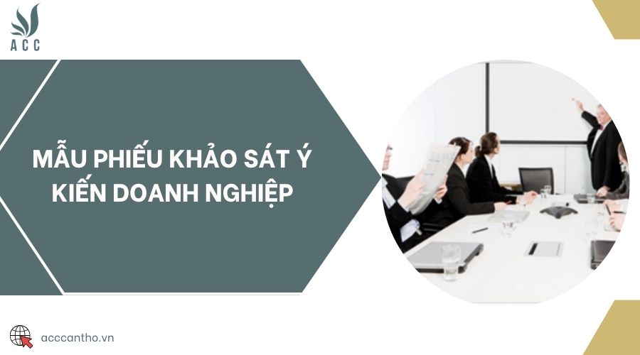 Mẫu phiếu khảo sát ý kiến doanh nghiệp