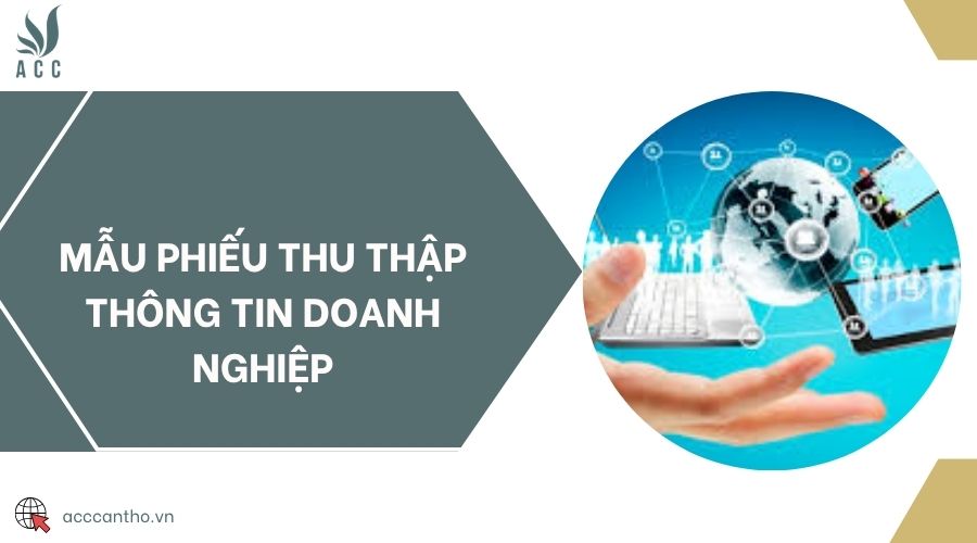 Mẫu phiếu thu thập thông tin doanh nghiệp