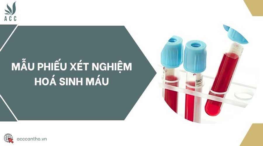 Mẫu phiếu xét nghiệm hoá sinh máu
