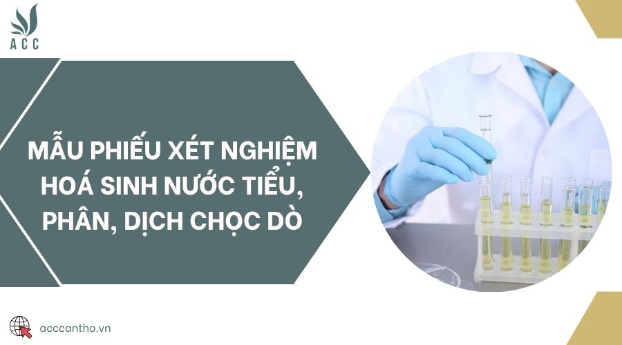 Mẫu phiếu xét nghiệm hoá sinh nước tiểu, phân, dịch chọc dò