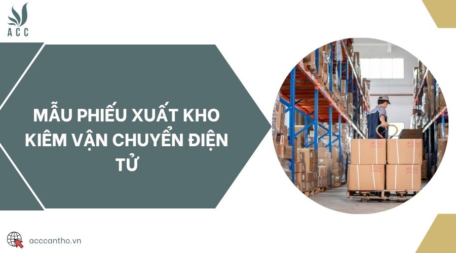 Mẫu phiếu xuất kho kiêm vận chuyển điện tử