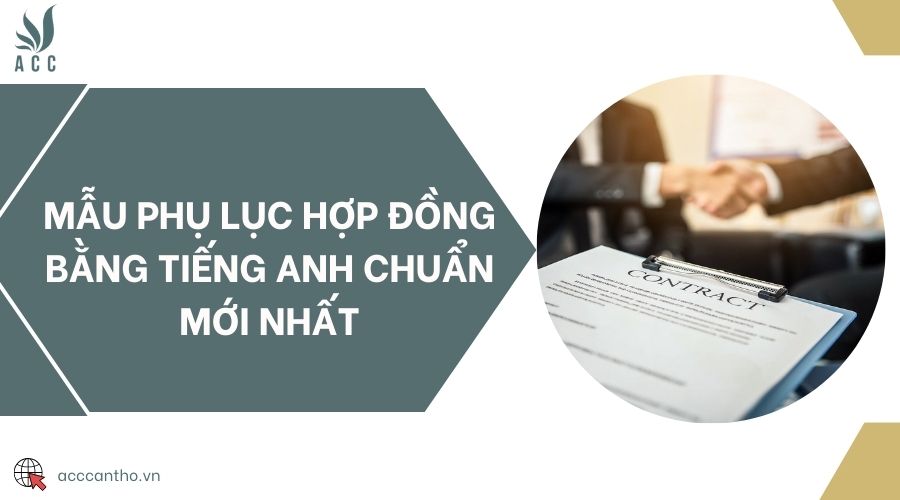 Mẫu phụ lục hợp đồng bằng tiếng Anh chuẩn mới nhất