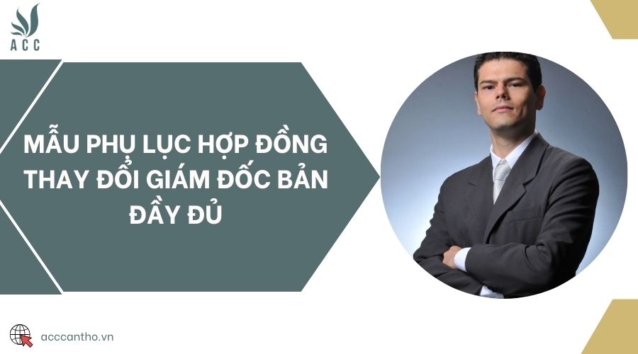 Mẫu phụ lục hợp đồng thay đổi giám đốc bản đầy đủ
