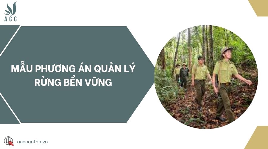 Mẫu phương án quản lý rừng bền vững